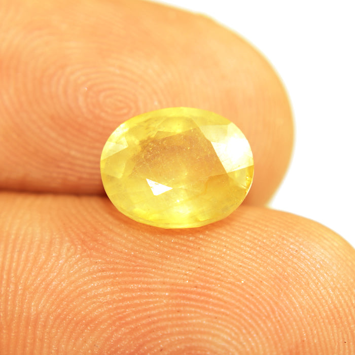 BLUEMONDS Yellow Sapphire all Ratti size 2 ratti to 11 ratti Pukhraj